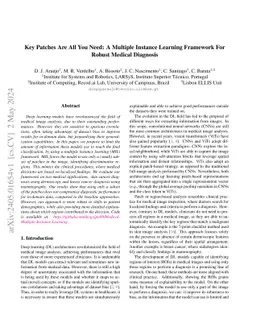 Key Patches Are All You Need: A Multiple Instance Learning Framework For
  Robust Medical Diagnosis