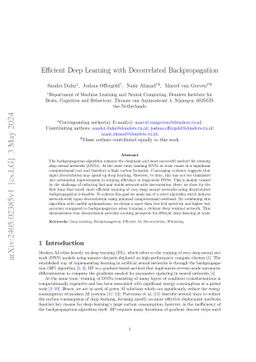 Efficient Deep Learning with Decorrelated Backpropagation