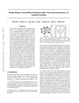 Doubly Robust Causal Effect Estimation under Networked Interference via
  Targeted Learning