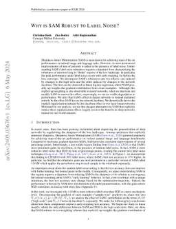 Why is SAM Robust to Label Noise?