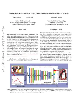 Hyperspectral Image Dataset for Individual Penguin Identification