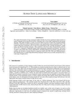 Super Tiny Language Models