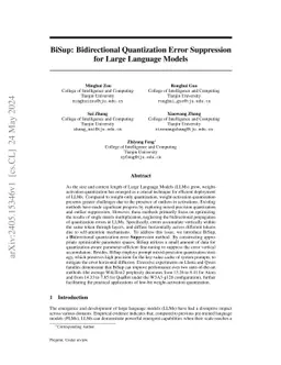 BiSup: Bidirectional Quantization Error Suppression for Large Language
  Models