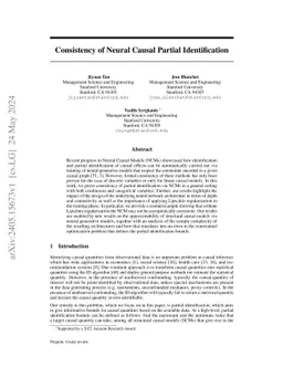 Consistency of Neural Causal Partial Identification