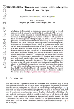 Trackastra: Transformer-based cell tracking for live-cell microscopy