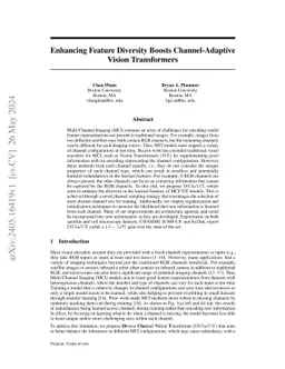 Enhancing Feature Diversity Boosts Channel-Adaptive Vision Transformers
