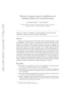 Theories of synaptic memory consolidation and intelligent plasticity for
  continual learning