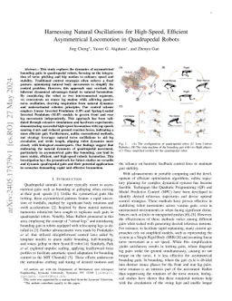 Harnessing Natural Oscillations for High-Speed, Efficient Asymmetrical
  Locomotion in Quadrupedal Robots