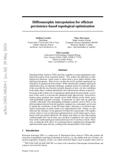 Diffeomorphic interpolation for efficient persistence-based topological
  optimization