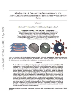 MidSurfer: A Parameter-Free Approach for Mid-Surface Extraction from
  Segmented Volumetric Data