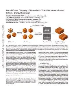 Data-Efficient Discovery of Hyperelastic TPMS Metamaterials with Extreme Energy Dissipation