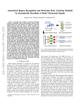 Anatomical Region Recognition and Real-time Bone Tracking Methods by
  Dynamically Decoding A-Mode Ultrasound Signals