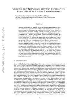 Growing Tiny Networks: Spotting Expressivity Bottlenecks and Fixing Them
  Optimally