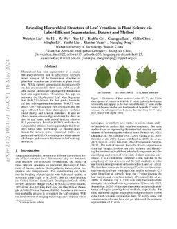 Revealing Hierarchical Structure of Leaf Venations in Plant Science via
  Label-Efficient Segmentation: Dataset and Method