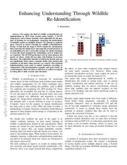 Enhancing Understanding Through Wildlife Re-Identification