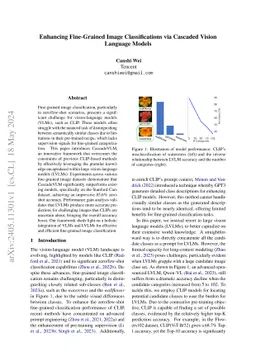 Enhancing Fine-Grained Image Classifications via Cascaded Vision
  Language Models