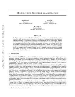 Hierarchical Selective Classification