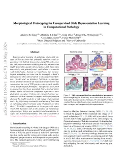 Morphological Prototyping for Unsupervised Slide Representation Learning
  in Computational Pathology