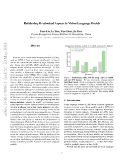 Rethinking Overlooked Aspects in Vision-Language Models
