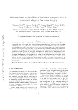 Influence based explainability of brain tumors segmentation in
  multimodal Magnetic Resonance Imaging
