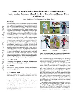 Focus on Low-Resolution Information: Multi-Granular Information-Lossless
  Model for Low-Resolution Human Pose Estimation