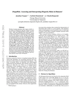 DispaRisk: Auditing Fairness Through Usable Information