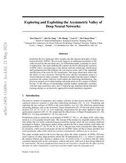 Exploring and Exploiting the Asymmetric Valley of Deep Neural Networks