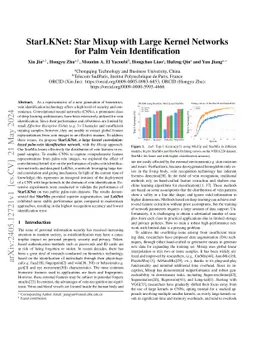 StarLKNet: Star Mixup with Large Kernel Networks for Palm Vein
  Identification