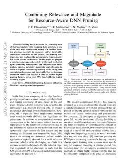 Combining Relevance and Magnitude for Resource-Aware DNN Pruning