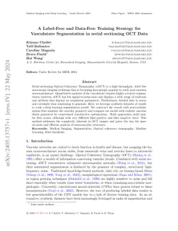 A label-free and data-free training strategy for vasculature
  segmentation in serial sectioning OCT data