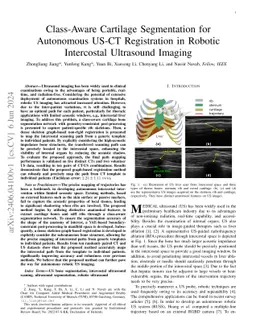 Class-Aware Cartilage Segmentation for Autonomous US-CT Registration in
  Robotic Intercostal Ultrasound Imaging