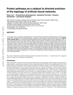Protein pathways as a catalyst to directed evolution of the topology of
  artificial neural networks