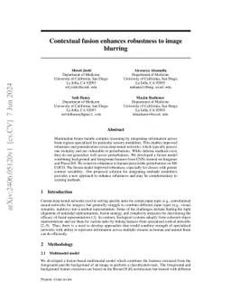 Contextual fusion enhances robustness to image blurring