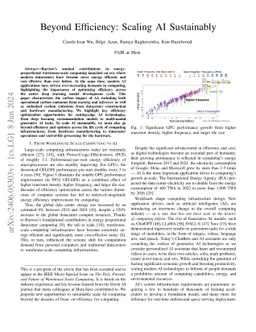 Beyond Efficiency: Scaling AI Sustainably
