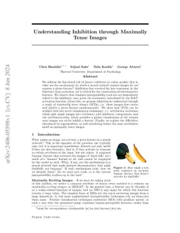 Understanding Inhibition Through Maximally Tense Images