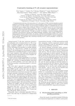 Contrastive learning of T cell receptor representations
