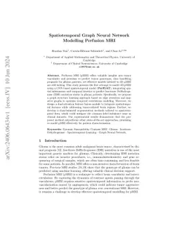 Spatiotemporal Graph Neural Network Modelling Perfusion MRI