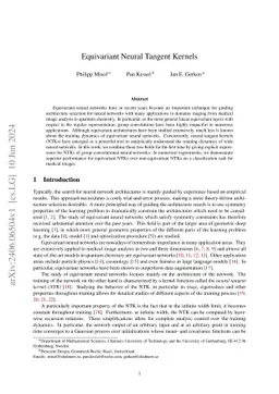 Equivariant Neural Tangent Kernels