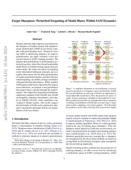 Forget Sharpness: Perturbed Forgetting of Model Biases Within SAM
  Dynamics