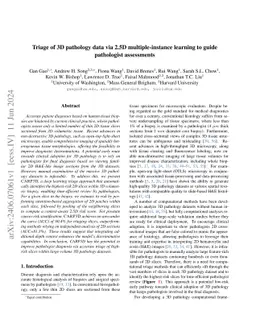 Triage of 3D pathology data via 2.5D multiple-instance learning to guide
  pathologist assessments