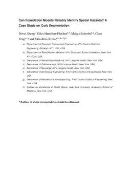 Can Foundation Models Reliably Identify Spatial Hazards? A Case Study on
  Curb Segmentation
