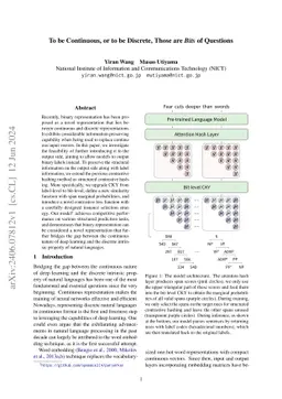 To be Continuous, or to be Discrete, Those are Bits of Questions