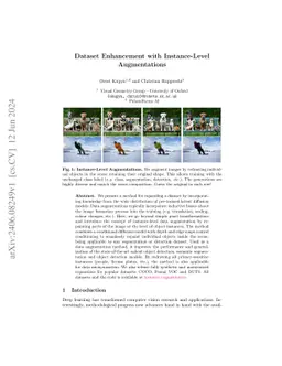 Dataset Enhancement with Instance-Level Augmentations