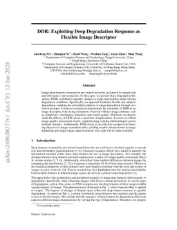 DDR: Exploiting Deep Degradation Response as Flexible Image Descriptor