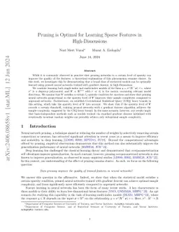 Pruning is Optimal for Learning Sparse Features in High-Dimensions