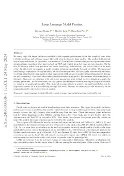 Large Language Model Pruning