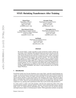 STAT: Shrinking Transformers After Training
