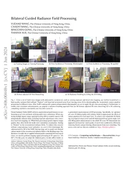 Bilateral Guided Radiance Field Processing