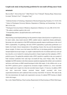 Length-scale study in deep learning prediction for non-small cell lung
  cancer brain metastasis