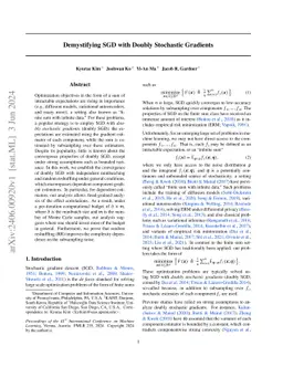 Demystifying SGD with Doubly Stochastic Gradients